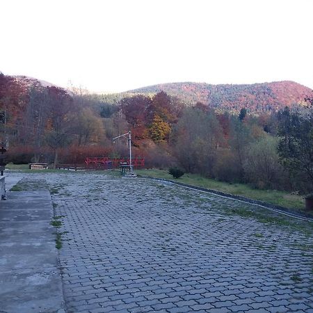 Pensiunea Tranzit Sinaia Пояна-Цапулуй Экстерьер фото