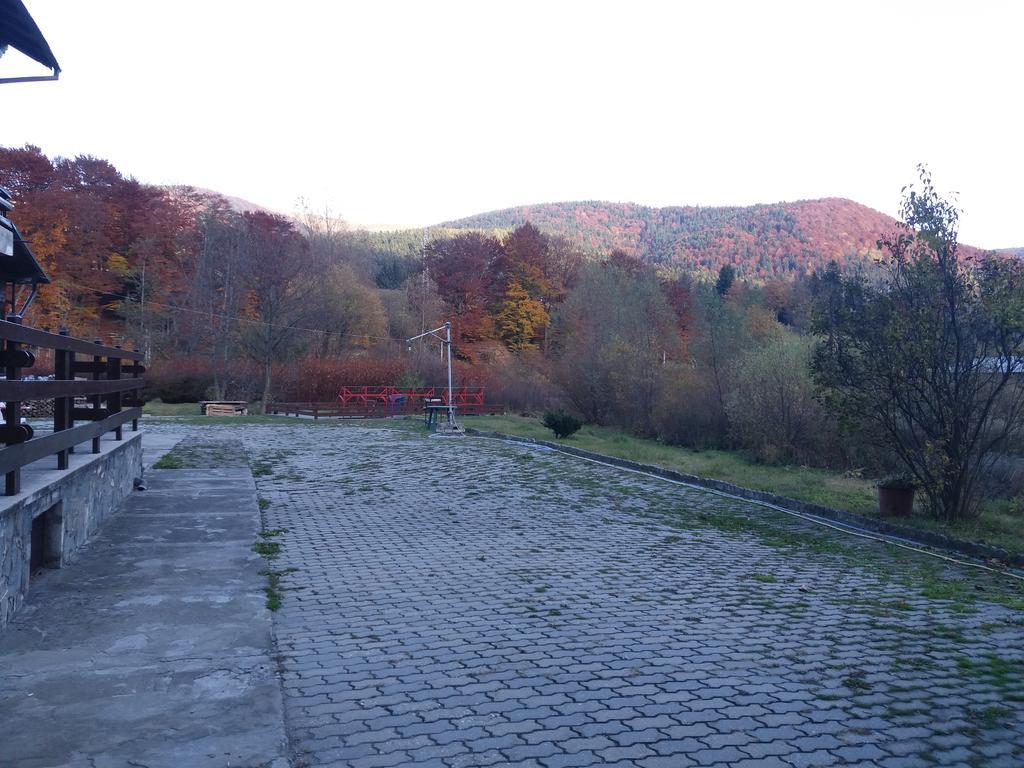 Pensiunea Tranzit Sinaia Пояна-Цапулуй Экстерьер фото